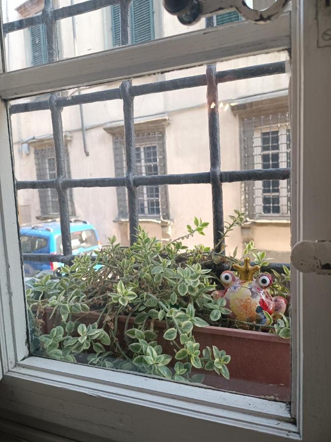 La Chiocciolina Apartment ลุคคา ภายนอก รูปภาพ